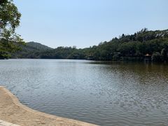 -深圳仙湖植物园