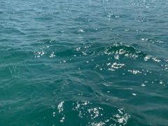 -小猫钓鱼海钓俱乐部(椰梦长廊店)