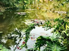 -中国科学院西双版纳热带植物园