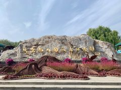 -北京西山国家森林公园