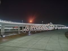 -演武大桥观景平台