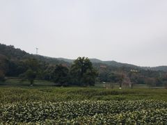 -北高峰