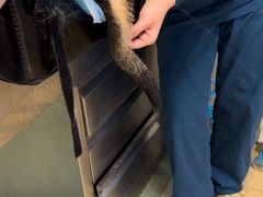 -康乐宝动物医院