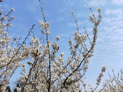 -三峡国际房车露营地(G348店)