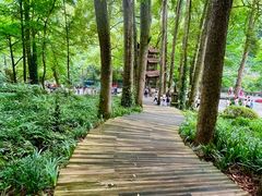 -青城山