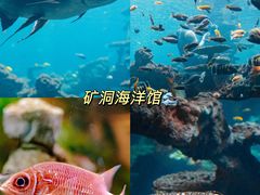 -长鹿旅游休博园