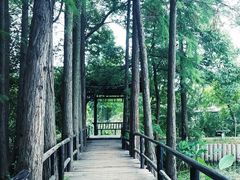 -东湖落雁景区