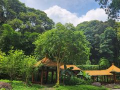 -广州市帽峰山景区