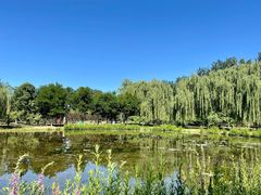 -东郊湿地公园