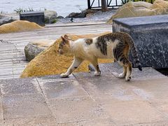 -昆明柏联SPA温泉