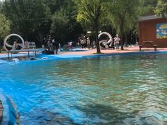 -西部长青自然儿童乐园