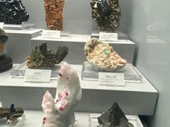 -湖南省地质博物馆