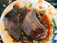 -二荆条·蜀鲜汇城市森林火锅