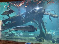 -华夏文旅海洋公园