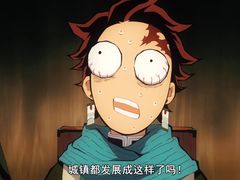 -王守财小山園