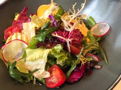 蔬菜沙拉-蝶舍·MAISON PAPILLON