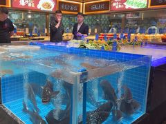 -老德州四合院·德州菜(天衢路店)