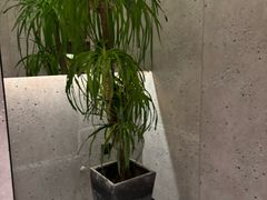 -顺风123(观音桥大融城店)