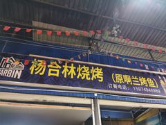 -杨合林啊兰烤鱼