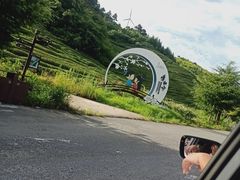 -东白山