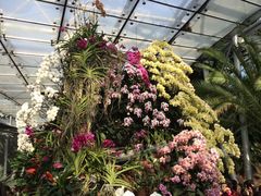 -北京植物园-展览温室