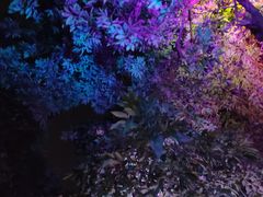 -爵士花园音乐酒吧餐厅
