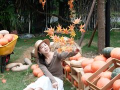 -HERRE·FARM 赫尔露营农场·团建聚会包场