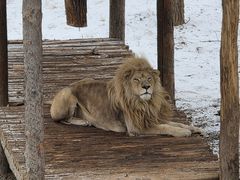 -石家庄市动物园