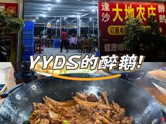 -大地农庄(逢沙大道店)