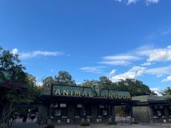 -奥兰多迪士尼动物王国乐园