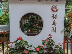 -张鸟园农家乐(张鸟园店)