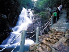 -九龙江国家森林公园