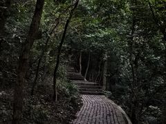 -紫金山山顶公园