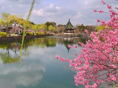 -无锡蠡湖国家湿地公园-蠡园