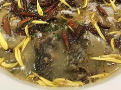 老坛子酸菜鱼-新太二·鲜料川菜(万泰汇店)