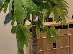 -TESLA 特斯拉(北京后沙峪特斯拉中心)