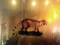 -猫屎咖啡(日月光中心广场店)