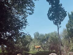 -北京野生动物园