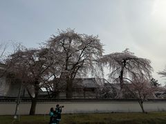 -醍醐寺