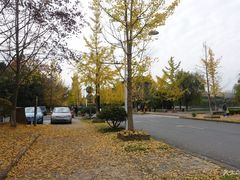 -浙江农林大学(东湖校区)