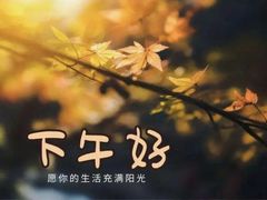 -金陵食府(林景店)