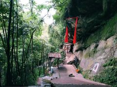 -川西竹海景区