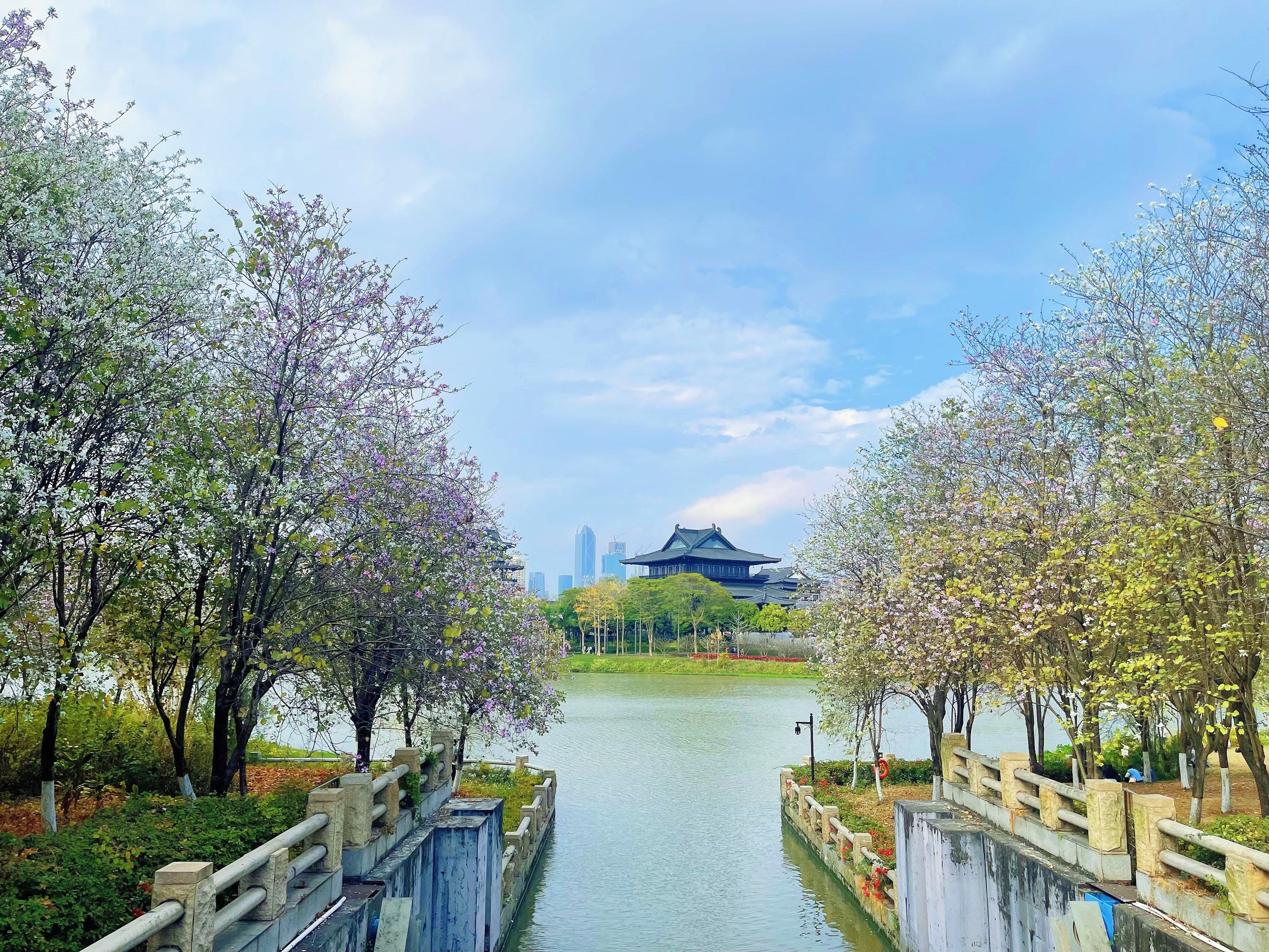 海珠湖湿地公园