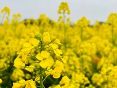 -中国天府农业博览园