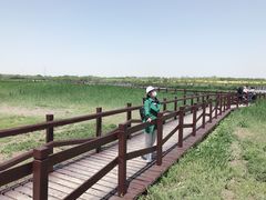 -西青郊野公园