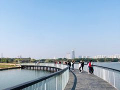 -海珠湖公园