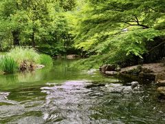 -西湖文化广场