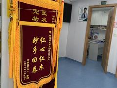 -博特宠物医院24h犬猫全科.骨科·异宠