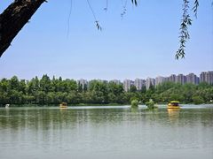 -洋湖国家湿地公园