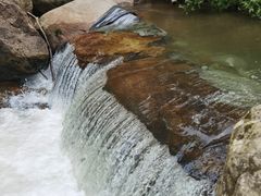 -庆岭迎宾园正宗活鱼馆